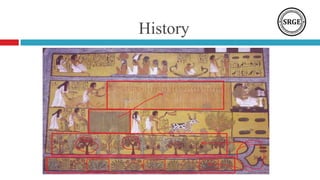 History
 
