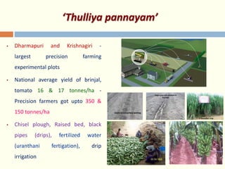 ‘Thulliya pannayam’
• Dharmapuri and Krishnagiri -
largest precision farming
experimental plots
• National average yield of brinjal,
tomato 16 & 17 tonnes/ha -
Precision farmers got upto 350 &
150 tonnes/ha
• Chisel plough, Raised bed, black
pipes (drips), fertilized water
(uranthani fertigation), drip
irrigation
 