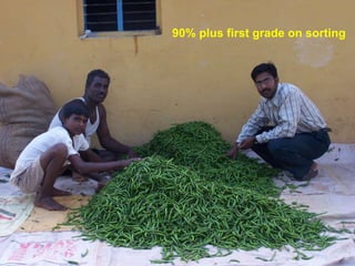 90% plus first grade on sorting
 