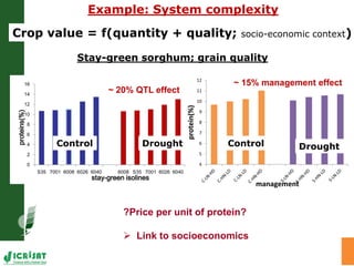 Precision agriculture for SAT; Near future or unrealistic effort?