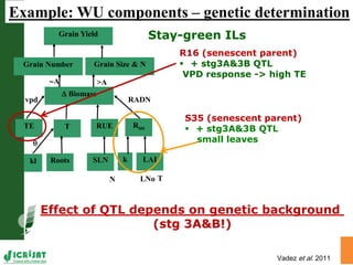 Precision agriculture for SAT; Near future or unrealistic effort?