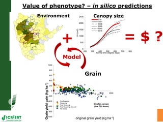 Precision agriculture for SAT; Near future or unrealistic effort?