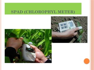 SPAD (CHLOROPHYL METER)
 