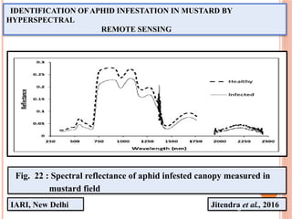 IDENTIFICATION OF APHID INFESTATION IN MUSTARD BY
HYPERSPECTRAL
REMOTE SENSING
Jitendra et al., 2016
IARI, New Delhi
Fig. 22 : Spectral reflectance of aphid infested canopy measured in
mustard field
6
 