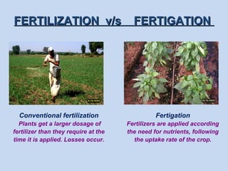 Normal Fertigation Precision framing techniques | PPT