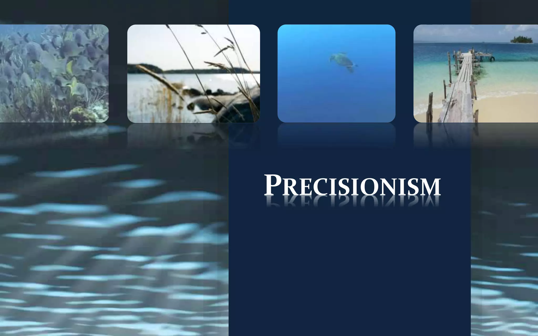 PRECISIONISM