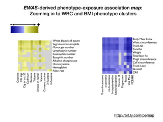 Body Mass Index
Waist circumference
Trunk fat
Total fat
Weight
Total lean fat
Thigh circumference
Calf circumference
Trunk Lean
Skinfold
CRP
Trans-b-carotene
a-carotene
cis-b-carotene
b-cryptoxanthin
lutein/xeaxanthin
VitaminD
Magnesium
Folate
Vo2Max
PCB180
Cotinine
100cigs
Ciginlast30
Cadmium
Benzene
Toluene
Smokeinhome?
Styrene
Currentsmoker
3-ﬂuorene
2-ﬂuorene
White blood cell count
Segmented neutrophils
Monocyte number
Lymphocyte number
Eosinophils number
Basophils number
Alkaline phosphotase
Homocysteine
Hemoglobin
Pulse rate
http://bit.ly.com/pemap
EWAS-derived phenotype-exposure association map:
Zooming in to WBC and BMI phenotype clusters
Alpha-carotene
Alcohol
VitaminEasalpha-tocopherol
Beta-carotene
Caffeine
Calcium
Carbohydrate
Cholesterol
Copper
Beta-cryptoxanthin
Folicacid
Folate,DFE
Foodfolate
Dietaryfiber
Iron
Energy
Lycopene
Lutein+zeaxanthin
MFA16:1
MFA18:1
MFA20:1
Magnesium
Totalmonounsaturatedfattyacids
Moisture
Niacin
PFA18:2
PFA18:3
PFA20:4
PFA22:5
PFA22:6
Totalpolyunsaturatedfattyacids
Phosphorus
Potassium
Protein
Retinol
SFA4:0
SFA6:0
SFA8:0
SFA10:0
SFA12:0
SFA14:0
SFA16:0
SFA18:0
Selenium
Totalsaturatedfattyacids
Totalsugars
Totalfat
Theobromine
VitaminA,RAE
Thiamin
VitaminB12
Riboflavin
VitaminB6
VitaminC
VitaminK
Zinc
NoSalt
OrdinarySalt
a-Carotene
VitaminB12,serum
trans-b-carotene
cis-b-carotene
b-cryptoxanthin
Folate,serum
g-tocopherol
Iron,FrozenSerum
CombinedLutein/zeaxanthin
trans-lycopene
Folate,RBC
Retinylpalmitate
Retinylstearate
Retinol
VitaminD
a-Tocopherol
Daidzein
o-Desmethylangolensin
Equol
Enterodiol
Enterolactone
Genistein
EstimatedVO2max
PhysicalActivity
Doesanyonesmokeinhome?
Total#ofcigarettessmokedinhome
Cotinine
CurrentCigaretteSmoker?
Agelastsmokedcigarettesregularly
#cigarettessmokedperdaywhenquit
#cigarettessmokedperdaynow
#dayssmokedcigsduringpast30days
Avg#cigarettes/dayduringpast30days
Smokedatleast100cigarettesinlife
Doyounowsmokecigarettes...
numberofdayssincequit
Usedsnuffatleast20timesinlife
drink5inaday
drinkperday
days5drinksinyear
daysdrinkinyear
3-fluorene
2-fluorene
3-phenanthrene
1-phenanthrene
2-phenanthrene
1-pyrene
3-benzo[c]phenanthrene
3-benz[a]anthracene
Mono-n-butylphthalate
Mono-phthalate
Mono-cyclohexylphthalate
Mono-ethylphthalate
Mono-phthalate
Mono--hexylphthalate
Mono-isobutylphthalate
Mono-n-methylphthalate
Mono-phthalate
Mono-benzylphthalate
Cadmium
Lead
Mercury,total
Barium,urine
Cadmium,urine
Cobalt,urine
Cesium,urine
Mercury,urine
Iodine,urine
Molybdenum,urine
Lead,urine
Platinum,urine
Antimony,urine
Thallium,urine
Tungsten,urine
Uranium,urine
BloodBenzene
BloodEthylbenzene
Bloodo-Xylene
BloodStyrene
BloodTrichloroethene
BloodToluene
Bloodm-/p-Xylene
1,2,3,7,8-pncdd
1,2,3,7,8,9-hxcdd
1,2,3,4,6,7,8-hpcdd
1,2,3,4,6,7,8,9-ocdd
2,3,7,8-tcdd
Beta-hexachlorocyclohexane
Gamma-hexachlorocyclohexane
Hexachlorobenzene
HeptachlorEpoxide
Mirex
Oxychlordane
p,p-DDE
Trans-nonachlor
2,5-dichlorophenolresult
2,4,6-trichlorophenolresult
Pentachlorophenol
Dimethylphosphate
Diethylphosphate
Dimethylthiophosphate
PCB66
PCB74
PCB99
PCB105
PCB118
PCB138&158
PCB146
PCB153
PCB156
PCB157
PCB167
PCB170
PCB172
PCB177
PCB178
PCB180
PCB183
PCB187
3,3,4,4,5,5-hxcb
3,3,4,4,5-pncb
3,4,4,5-tcb
Perfluoroheptanoicacid
Perfluorohexanesulfonicacid
Perfluorononanoicacid
Perfluorooctanoicacid
Perfluorooctanesulfonicacid
Perfluorooctanesulfonamide
2,3,7,8-tcdf
1,2,3,7,8-pncdf
2,3,4,7,8-pncdf
1,2,3,4,7,8-hxcdf
1,2,3,6,7,8-hxcdf
1,2,3,7,8,9-hxcdf
2,3,4,6,7,8-hxcdf
1,2,3,4,6,7,8-hpcdf
Measles
Toxoplasma
HepatitisAAntibody
HepatitisBcoreantibody
HepatitisBSurfaceAntibody
HerpesII
Albumin, urine
Uric acid
Phosphorus
Osmolality
Sodium
Potassium
Creatinine
Chloride
Total calcium
Bicarbonate
Blood urea nitrogen
Total protein
Total bilirubin
Lactate dehydrogenase LDH
Gamma glutamyl transferase
Globulin
Alanine aminotransferase ALT
Aspartate aminotransferase AST
Alkaline phosphotase
Albumin
Methylmalonic acid
PSA. total
Prostate specific antigen ratio
TIBC, Frozen Serum
Red cell distribution width
Red blood cell count
Platelet count SI
Segmented neutrophils percent
Mean platelet volume
Mean cell volume
Mean cell hemoglobin
MCHC
Hemoglobin
Hematocrit
Ferritin
Protoporphyrin
Transferrin saturation
White blood cell count
Monocyte percent
Lymphocyte percent
Eosinophils percent
C-reactive protein
Segmented neutrophils number
Monocyte number
Lymphocyte number
Eosinophils number
Basophils number
mean systolic
mean diastolic
60 sec. pulse:
60 sec HR
Total Cholesterol
Triglycerides
Glucose, serum
Insulin
Homocysteine
Glucose, plasma
Glycohemoglobin
C-peptide: SI
LDL-cholesterol
Direct HDL-Cholesterol
Bone alkaline phosphotase
Trunk Fat
Lumber Pelvis BMD
Lumber Spine BMD
Head BMD
Trunk Lean excl BMC
Total Lean excl BMC
Total Fat
Total BMD
Weight
Waist Circumference
Triceps Skinfold
Thigh Circumference
Subscapular Skinfold
Recumbent Length
Upper Leg Length
Standing Height
Head Circumference
Maximal Calf Circumference
Body Mass Index
-0.4 -0.2 0 0.2 0.4
Value
050100150
Color Key
and Histogram
Count
+-
 