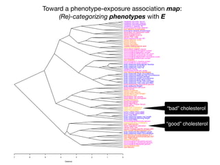 7 6 5 4 3 2 1 0
Distance
liver:Albumin
kidney:Bicarbonate
immunological:Basophils percent
immunological:Lymphocyte percent
immunological:Eosinophils percent
kidney:Phosphorus
liver:Total protein
liver:Aspartate aminotransferase AST
liver:Alanine aminotransferase ALT
body measures:Head Circumference
body measures:Recumbent Length
liver:Lactate dehydrogenase LDH
cancer:Prostate specific antigen ratio
cancer:PSA, free
blood:Transferrin saturation
liver:Total bilirubin
heart:Direct HDL-Cholesterol
immunological:Monocyte percent
bone:Head BMD
body measures:Standing Height
body measures:Upper Leg Length
bone:Total BMD
bone:Lumber Spine BMD
bone:Lumber Pelvis BMD
heart:Triglycerides
heart:LDL-cholesterol
heart:Total Cholesterol
blood:MCHC
blood:TIBC, Frozen Serum
blood:Hematocrit
blood:Hemoglobin
kidney:Potassium
blood:Mean cell hemoglobin
blood:Mean cell volume
kidney:Uric acid
kidney:Blood urea nitrogen
kidney:Total calcium
kidney:Creatinine
blood:Ferritin
blood:Red blood cell count
body measures:Weight
blood:Segmented neutrophils percent
body measures:Total Lean excl BMC
body measures:Trunk Lean excl BMC
body measures:Body Mass Index
body measures:Waist Circumference
body measures:Triceps Skinfold
body measures:Maximal Calf Circumference
body measures:Thigh Circumference
liver:Gamma glutamyl transferase
blood pressure:60 sec. pulse:
metabolic:Insulin
body measures:Total Fat
body measures:Trunk Fat
body measures:Subscapular Skinfold
blood pressure:mean systolic
immunological:C-reactive protein
liver:Globulin
immunological:Monocyte number
immunological:Segmented neutrophils number
immunological:Lymphocyte number
immunological:White blood cell count
immunological:Basophils number
immunological:Eosinophils number
blood:Mean platelet volume
heart:Homocysteine
nutrition:Methylmalonic acid
kidney:Osmolality
kidney:Chloride
kidney:Sodium
kidney:Albumin, urine
blood pressure:60 sec HR
cancer:PSA. total
blood:Platelet count SI
blood:Protoporphyrin
blood:Red cell distribution width
bone:Bone alkaline phosphotase
liver:Alkaline phosphotase
blood pressure:mean diastolic
metabolic:C-peptide: SI
metabolic:Glycohemoglobin
metabolic:Glucose, plasma
metabolic:Glucose, serum
“bad” cholesterol
“good” cholesterol
Toward a phenotype-exposure association map:
(Re)-categorizing phenotypes with E
 