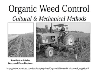 Excellent article by
 Mary and Klaas Martens

http://www.acresusa.com/toolbox/reprints/Organic%20weed%20control_aug02.pdf
 