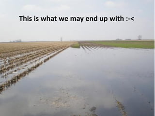 This is what we may end up with :-<
 