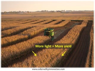 More light = More yield




www.cedarvalleyinnovation.com
 
