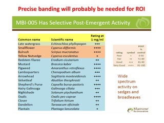 Precise banding will probably be needed for ROI
 