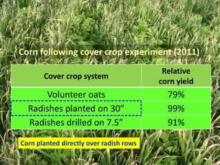 Corn following cover crop experiment (2011)
                                          Relative
       Cover crop system
                                         corn yield
      Volunteer oats                       79%
  Radishes planted on 30”                  99%
  Radishes drilled on 7.5”                 91%

Corn planted directly over radish rows
 