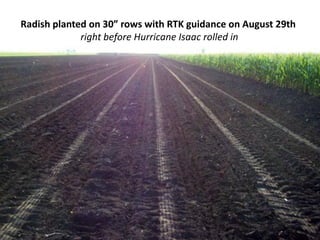 Radish planted on 30” rows with RTK guidance on August 29th
             right before Hurricane Isaac rolled in
 