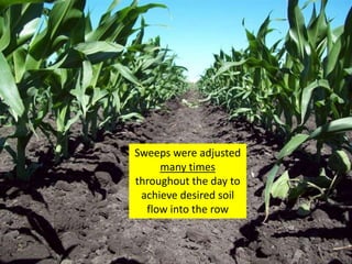 Sweeps were adjusted
     many times
throughout the day to
 achieve desired soil
  flow into the row
 