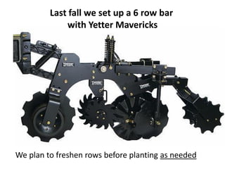 Last fall we set up a 6 row bar
             with Yetter Mavericks




We plan to freshen rows before planting as needed
 