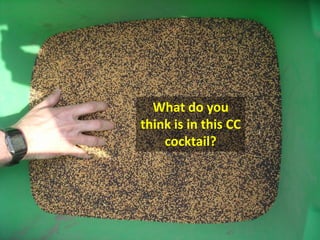 What do you
think is in this CC
    cocktail?
 