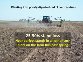 Planting into poorly digested red clover residues




           25-50% stand loss
   Near perfect stands in all other corn
    plots on the farm this past spring
 