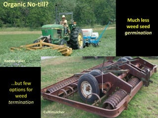 Organic No-till?

                                 Much less
                                 weed seed
                                germination




Rodale roller




    …but few
   options for
     weed
  termination
                 Cultimulcher
 