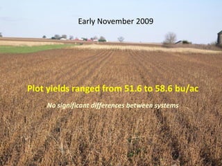 Early November 2009




Plot yields ranged from 51.6 to 58.6 bu/ac
    No significant differences between systems
 