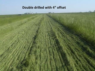 Double drilled with 4” offset
 