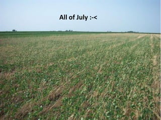 All of July :-<
 