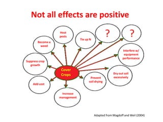 Not all effects are positive
                   Host
                   pests
                                Tie up N
                                                    ?                  ?
        Become a
          weed
                                                               Interfere w/
                                                                equipment
                                                               performance
Suppress crop
   growth
                    Cover
                    Crops                               Dry out soil
                                       Prevent          excessively
                                      soil drying
    Add cost


                    Increase
                   management




                                           Adapted from Magdoff and Weil (2004)
 