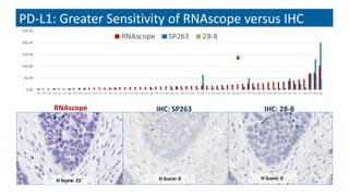 Patj Rnascope Expanding Precision Medicine & Biomarker Strategy Options with RNAscope ...