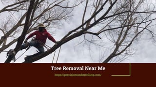 Tree Removal Near Me
https://precisiontimberfelling.com/
 