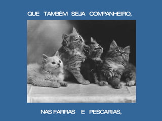 QUE  TAMBÉM  SEJA  COMPANHEIRO,  NAS FARRAS  E  PESCARIAS, 