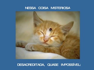 NESSA  COISA  MISTERIOSA , DESACREDITADA,  QUASE  IMPOSSÍVEL: 