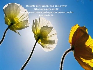 Distante de Ti Senhor não posso viver Não vale a pena existir Escuta o meu clamor mais que o ar que eu respiro Preciso de Ti . 
