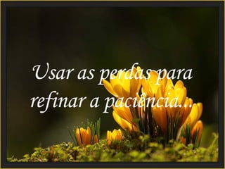 Usar as perdas para refinar a paciência... 