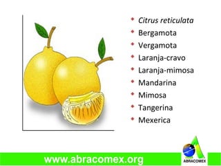  Citrus reticulata
 Bergamota
 Vergamota
 Laranja-cravo
 Laranja-mimosa
 Mandarina
 Mimosa
 Tangerina
 Mexerica
 