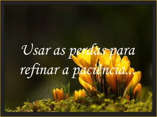 Usar as perdas para
refinar a paciência...

                         12
 