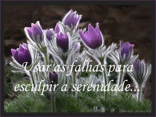 Usar as falhas para
esculpir a serenidade...
                           13
 