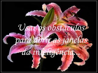 Usar os obstáculos
 Usar os obstáculos
para abrir as janelas
para abrir as janelas
  da inteligência...
  da inteligência...
                        14
 