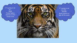 IT is going to eat
me…
FEAR.
Freeze/Vigilant
attention to find
escape route
IT is going to eat
my child…
ANGER.
Body prepares to
fight off the attack
 