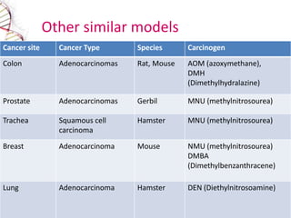 Preclinical and clinical screening of anticancer drugs | PPTX