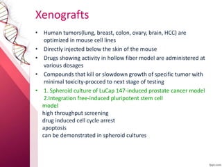 Preclinical and clinical screening of anticancer drugs | PPTX