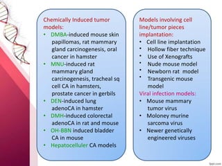 Assignment on Preclinical and clinical screening of anti cancer drugs | PDF