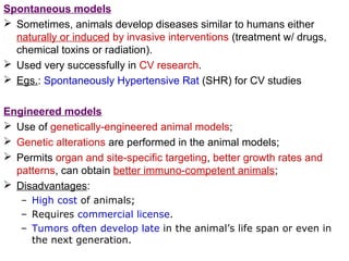 Spontaneous models
 Sometimes, animals develop diseases similar to humans either
naturally or induced by invasive interventions (treatment w/ drugs,
chemical toxins or radiation).
 Used very successfully in CV research.
 Egs.: Spontaneously Hypertensive Rat (SHR) for CV studies
Engineered models
 Use of genetically-engineered animal models;
 Genetic alterations are performed in the animal models;
 Permits organ and site-specific targeting, better growth rates and
patterns, can obtain better immuno-competent animals;
 Disadvantages:
– High cost of animals;
– Requires commercial license.
– Tumors often develop late in the animal’s life span or even in
the next generation.
 