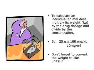 • To calculate an
individual animal dose,
multiply its weight (kg)
by the drug dosage and
divide by the
concentration.
• Eg: 25 g x 100 mg/kg
10mg/ml
• Don’t forget to convert
the weight to like
units!!!
 