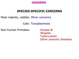 HAZARDS
SPECIES-SPECIFIC CONCERNS
Most rodents, rabbits: Minor concerns
Cats: Toxoplasmosis
Non-human Primates: Herpes-B
Shigella
Tuberculosis
Other zoonotic diseases
 
