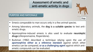 preclinical screening method of antiemetic drugs.pptx