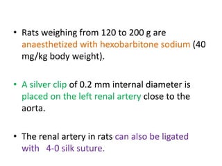 • Rats weighing from 120 to 200 g are
anaesthetized with hexobarbitone sodium (40
mg/kg body weight).
• A silver clip of 0.2 mm internal diameter is
placed on the left renal artery close to the
aorta.
• The renal artery in rats can also be ligated
with 4-0 silk suture.
 