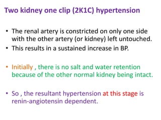 Two kidney one clip (2K1C) hypertension
• The renal artery is constricted on only one side
with the other artery (or kidney) left untouched.
• This results in a sustained increase in BP.
• Initially , there is no salt and water retention
because of the other normal kidney being intact.
• So , the resultant hypertension at this stage is
renin-angiotensin dependent.
 