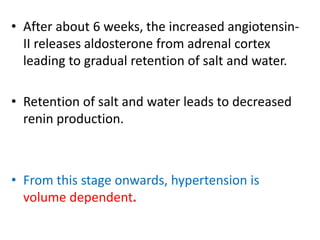 • After about 6 weeks, the increased angiotensin-
II releases aldosterone from adrenal cortex
leading to gradual retention of salt and water.
• Retention of salt and water leads to decreased
renin production.
• From this stage onwards, hypertension is
volume dependent.
 