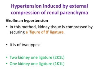 Hypertension induced by external
compression of renal parenchyma
Grollman hypertension
• In this method, kidney tissue is compressed by
securing a 'figure of 8' ligature.
• It is of two types:
• Two kidney one ligature (2K1L)
• One kidney one ligature (1K1L)
 