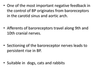• One of the most important negative feedback in
the control of BP originates from baroreceptors
in the carotid sinus and aortic arch.
• Afferents of baroreceptors travel along 9th and
10th cranial nerves.
• Sectioning of the baroreceptor nerves leads to
persistent rise in BP.
• Suitable in dogs, cats and rabbits
 